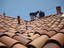 Joel's Roofing & Gutter Co. Inc