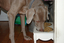 Heidi's Historic Home & Pet Care, L.L.C.