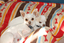 Heidi's Historic Home & Pet Care, L.L.C.