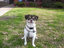 Heidi's Historic Home & Pet Care, L.L.C.