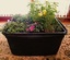 THE SURVIVAL MARKET & ASHEVILLE AQUAPONICS