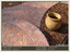Moderna Paver Driveway Jacksonville