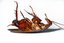 Tough Solutions Pest Control