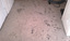 RUGSNSUDS Carpet & Upholstery Cleaning