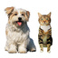 FurTheLoveOfYourPet 