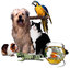 FurTheLoveOfYourPet 