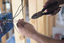 Texas Electrical and Light, LLC