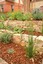 Detailed Landscape Inc