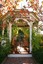 Detailed Landscape Inc