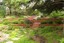 Detailed Landscape Inc