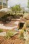 Detailed Landscape Inc
