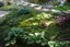 Detailed Landscape Inc