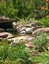 Detailed Landscape Inc