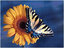 Charleston Marriage Counseling Services