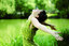 Better Health Thru Research 