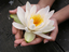 Athena Salon, Spa & Wellness LLC
