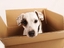 S & M Moving and Storage