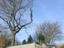 Tree Pros, Inc