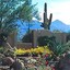 Desert Environments Landscape and Design