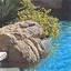 Desert Environments Landscape and Design