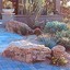 Desert Environments Landscape and Design