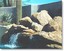 Desert Environments Landscape and Design