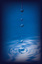  Seale Plumbing and Rooter Service Costa Mesa