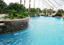 Paradise Pool Company Of Gainesville