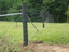 Specialty Fencing