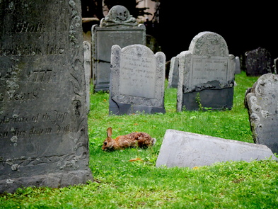 Buried Boston: Confessions of a Cemetery Traveler