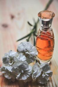 Fragrance Appreciation for Curious Beginners