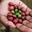 402573680_d8894133d3_b_tiny