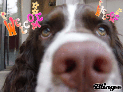 Welcome to Blingee!