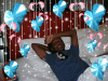 Bach in bed
