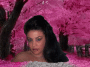 Animated Picture