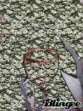 Glitter Graphics