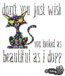 Cat Beautiful