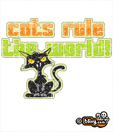 Cats Rule World
