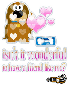 Wonderful Dog