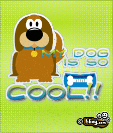 Cool Dog