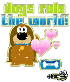 Dogs Rule