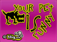 Funny Pet