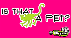 A Pet?