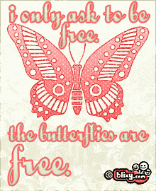 Butterfly Free