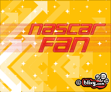 Nascar Fan