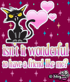 Cat Wonderful Friend
