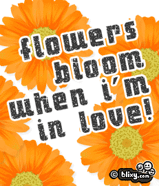 Flowers Bloom