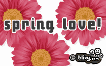 Spring Love