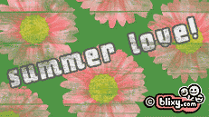 Summer Love
