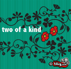 Two Of A Kind